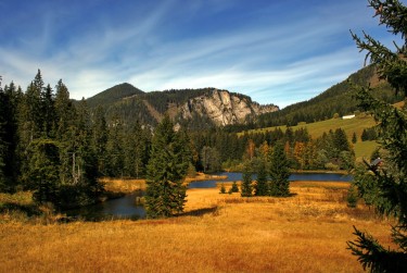 惠州惠阳区6民间私贷攻略：揭秘低成本借贷的秘密