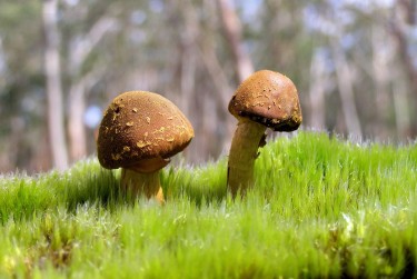 惠州惠阳区6私人老板放款：轻松融资的秘密通道